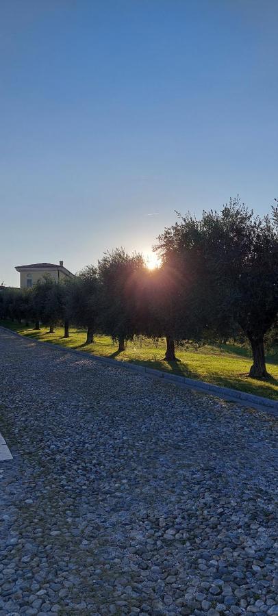 Appartamento Antica Dimora San Felice del Benaco Esterno foto